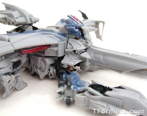 transformers database/profile