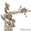 transformers database/profile