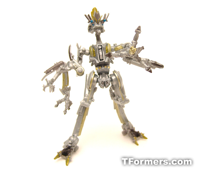 transformers database/profile