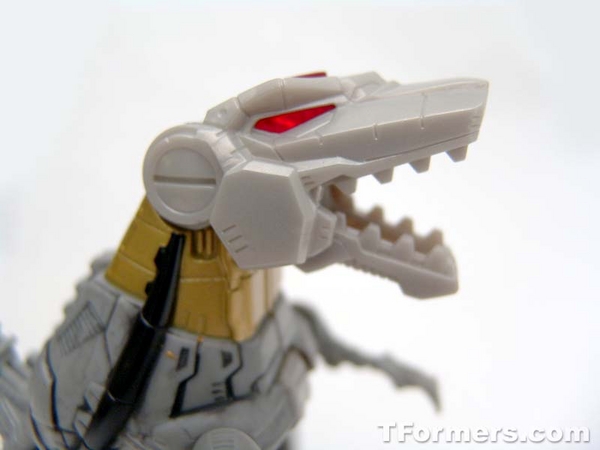 transformers database/profile