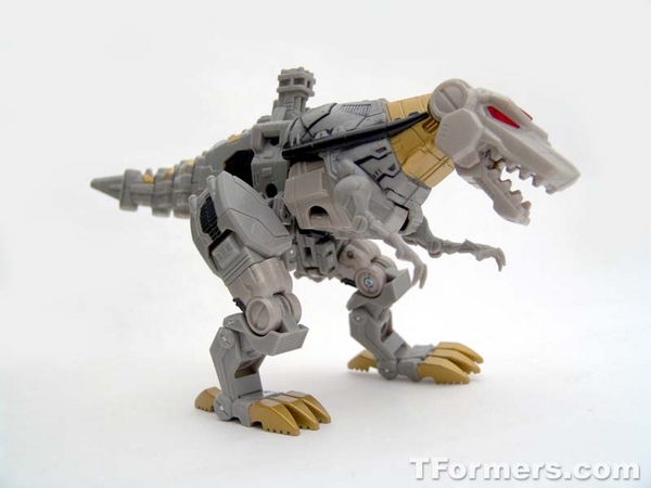 transformers database/profile