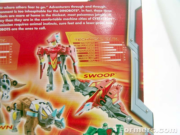 transformers database/profile