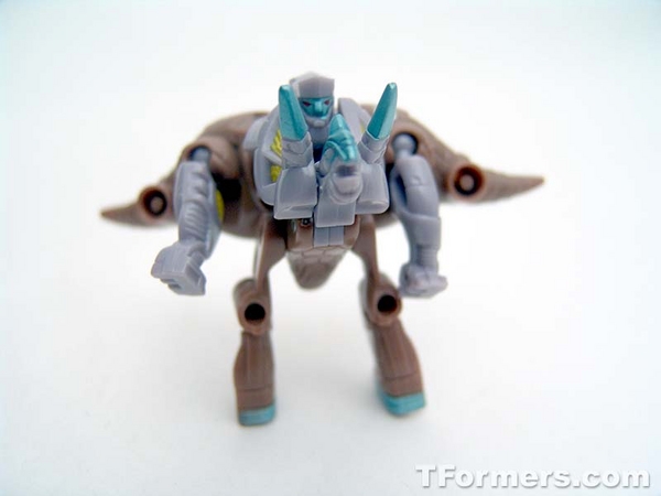 transformers database/profile