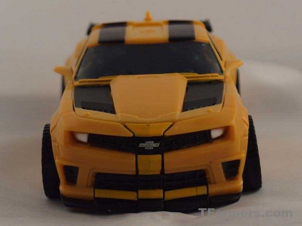 transformers database/profile