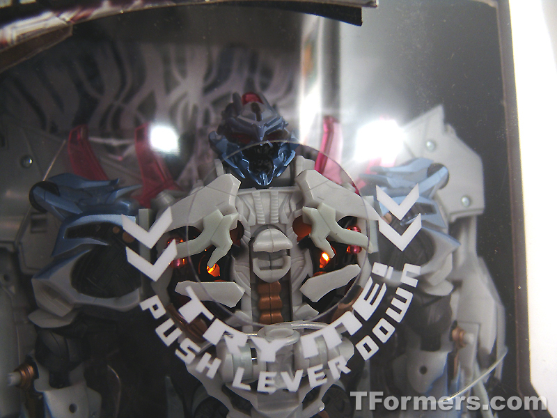 transformers database/profile