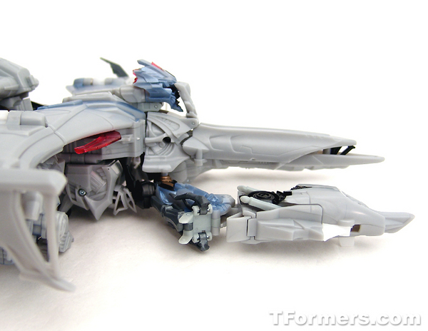 transformers database/profile