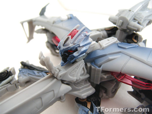 transformers database/profile