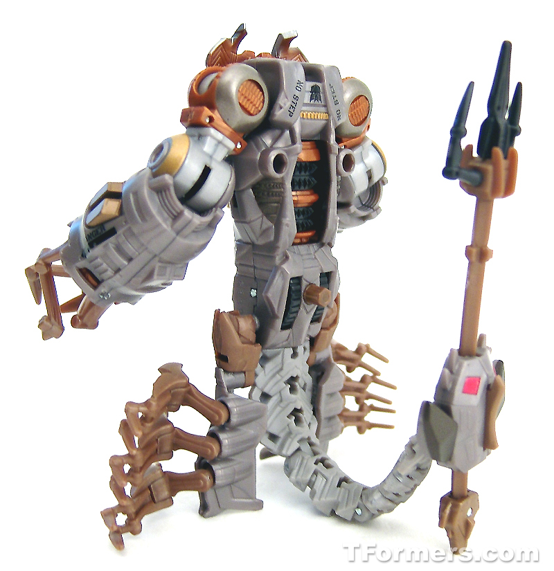 transformers database/profile