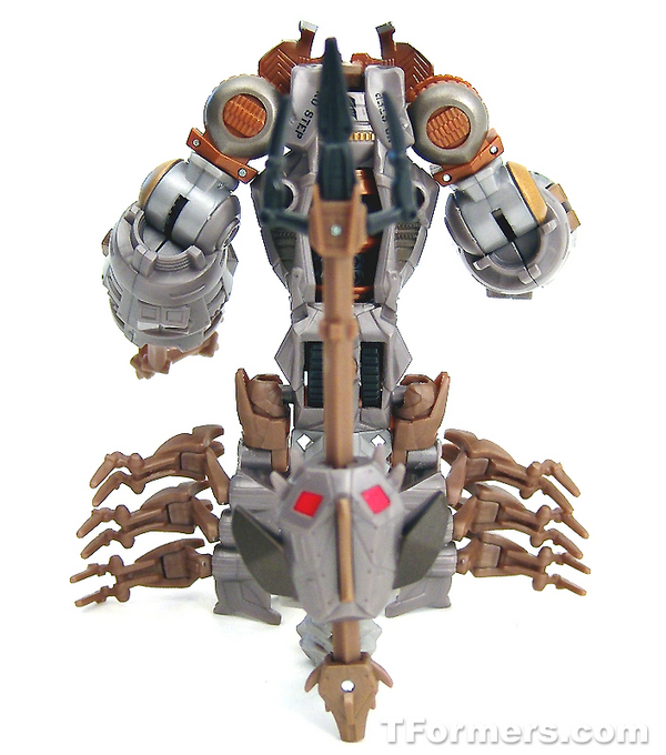 transformers database/profile