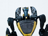 transformers database/profile