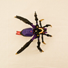 Transformers Database/animated/