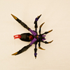 Transformers Database/animated/