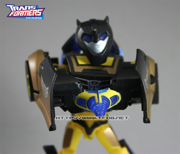 transformers database/profile