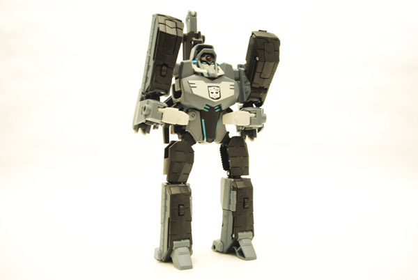/transformers database/animated/