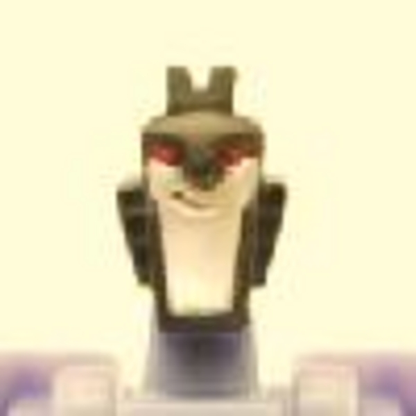 transformers database/universe/