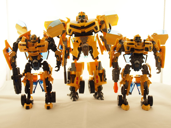 transformers database/profile