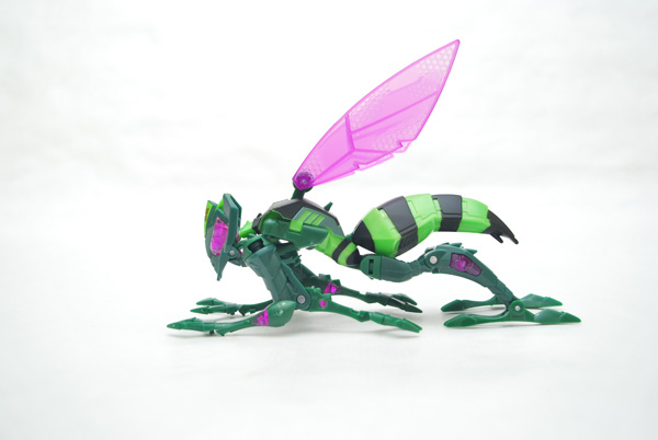 transformers database/profile