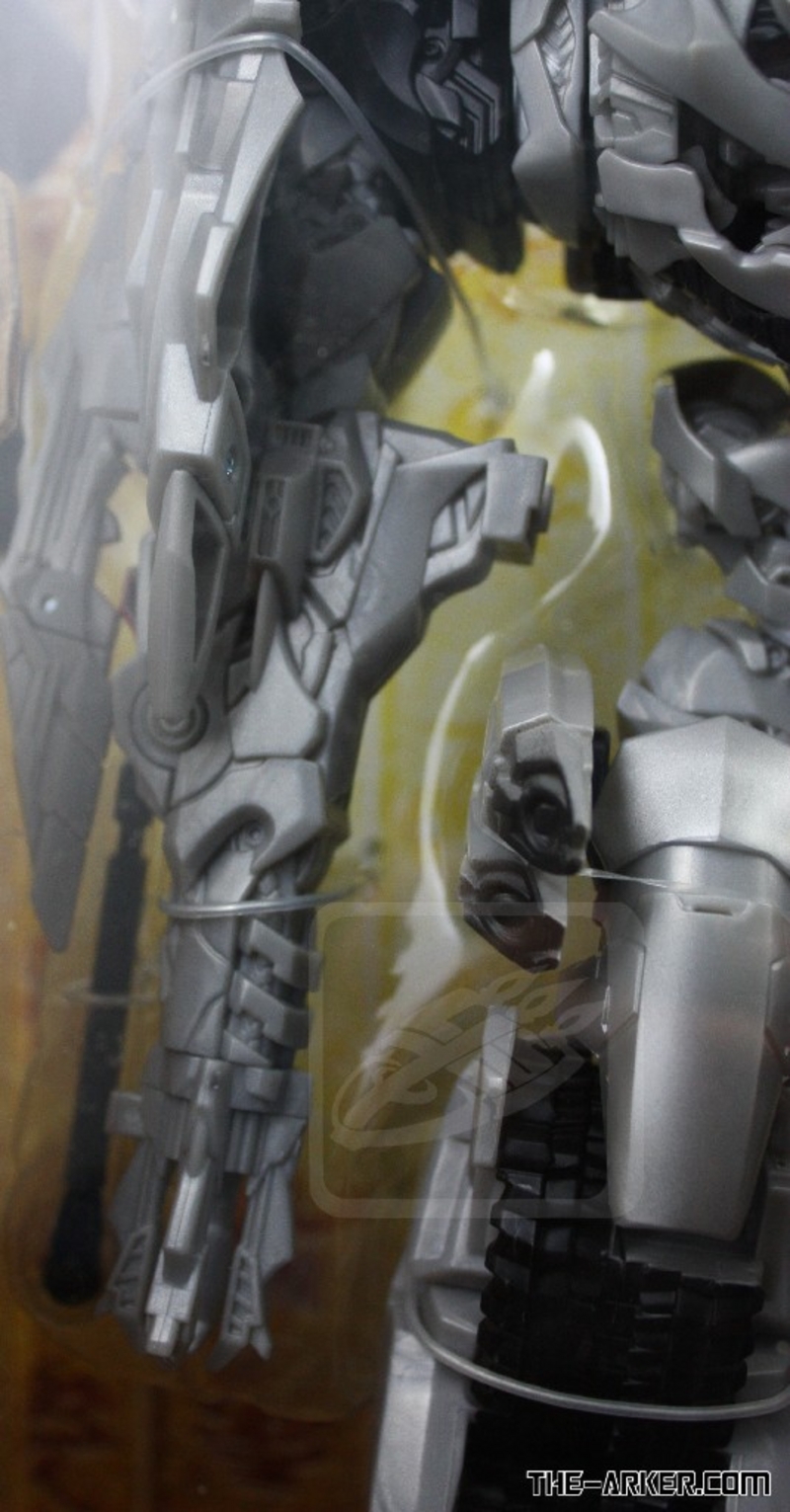 transformers database/profile