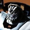 Transformers Database/movies/