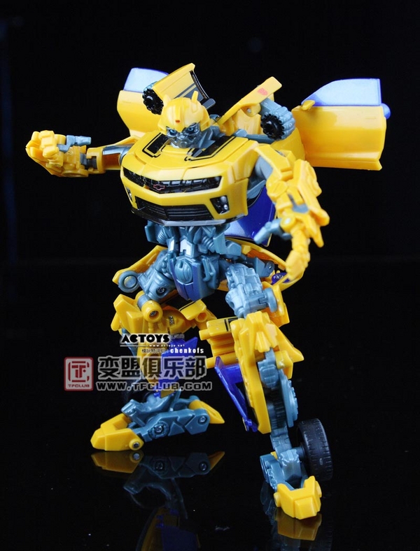 transformers database/profile