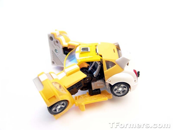transformers database/profile