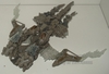 transformers database/profile