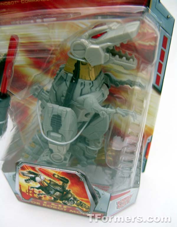 transformers database/profile