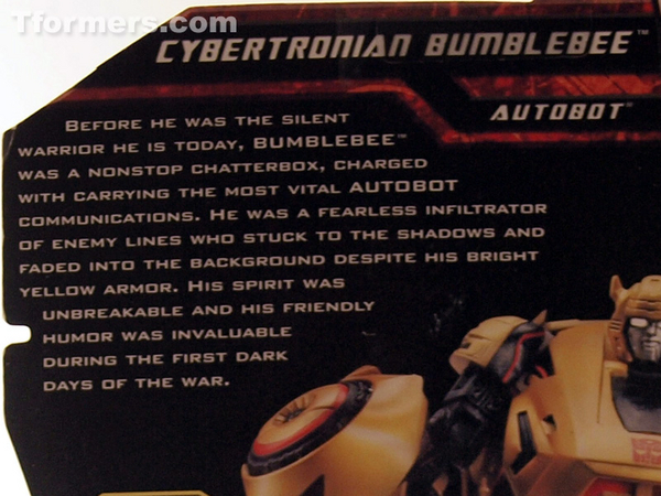 transformers database/generations/