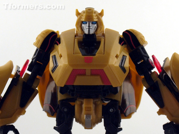 transformers database/generations/