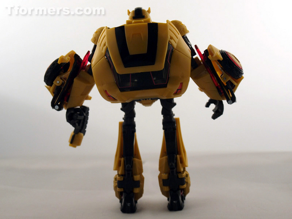 transformers database/profile