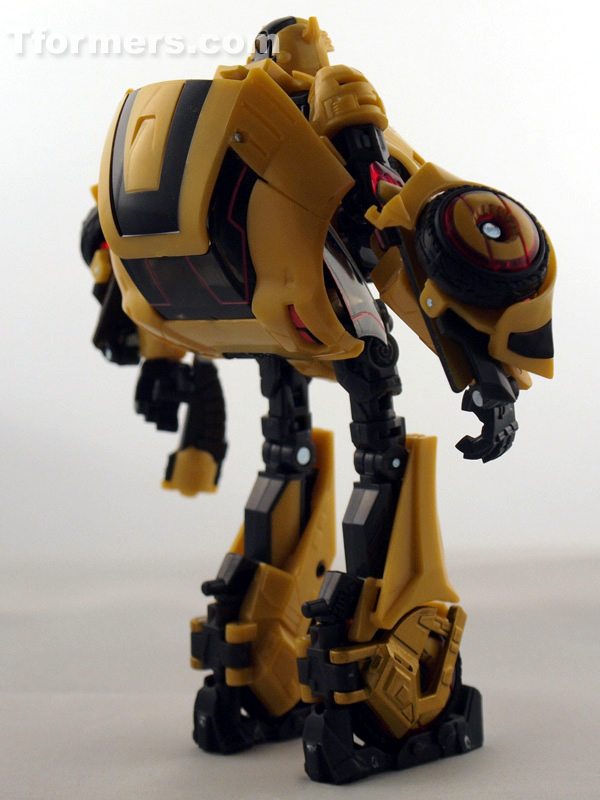 transformers database/profile