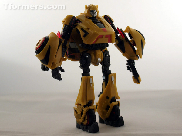 transformers database/generations/