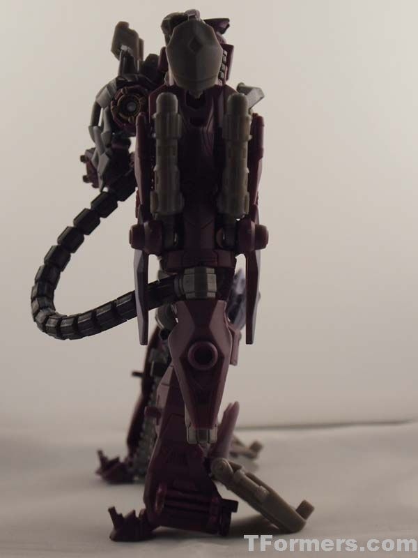 transformers database/movies/