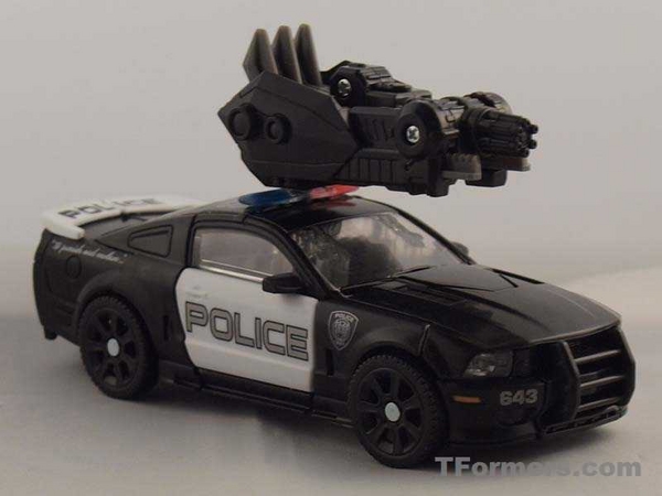 transformers database/profile