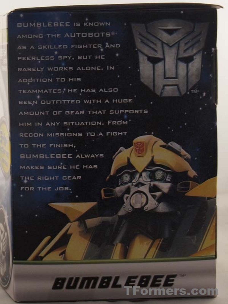transformers database/profile