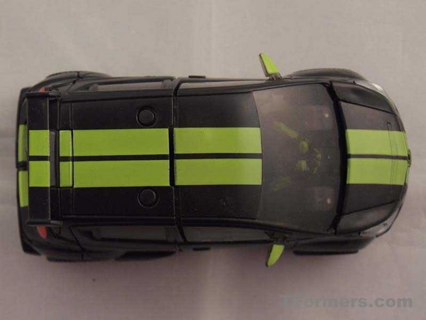 transformers database/profile
