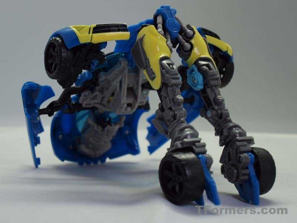 transformers database/profile