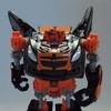 transformers database/profile
