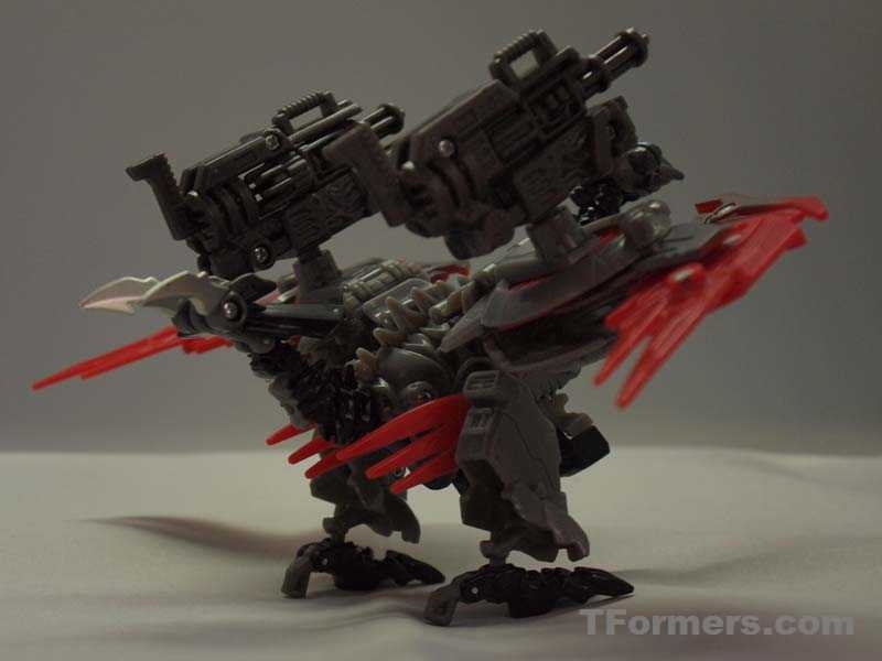 transformers database/profile