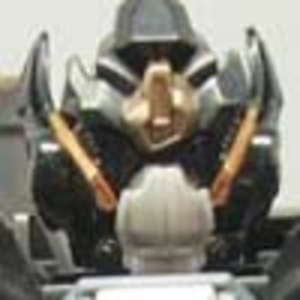 transformers database/profile