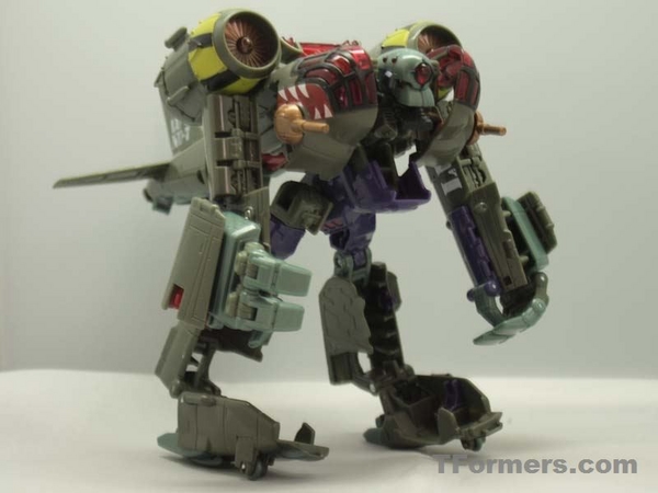 transformers database/profile