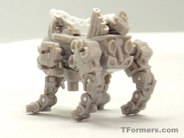 transformers database/profile