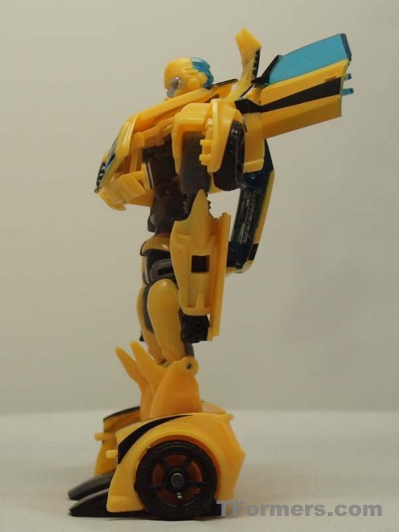 transformers database/profile