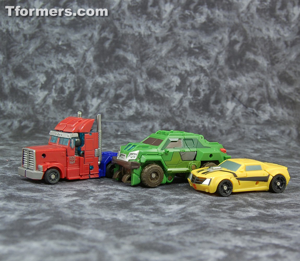 transformers database/profile