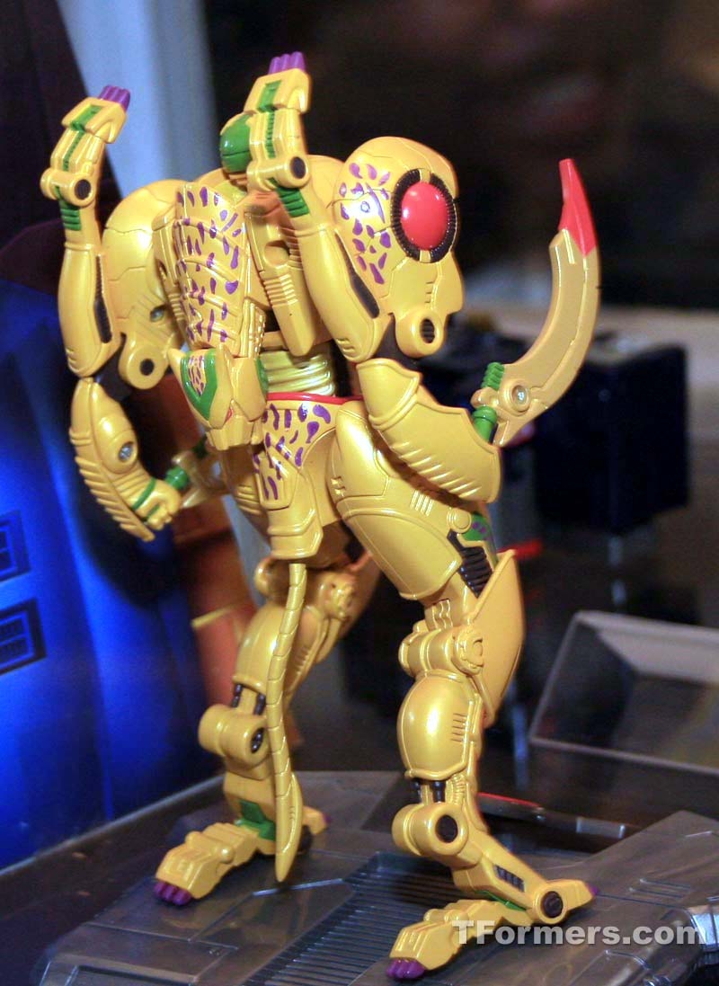 transformers database/profile