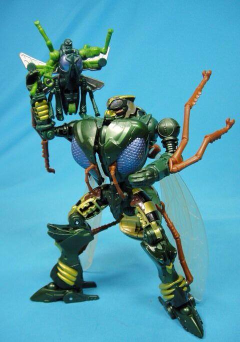 Transformers Kingdom - Rhinox: Hasbro • Solletico Giocattoli
