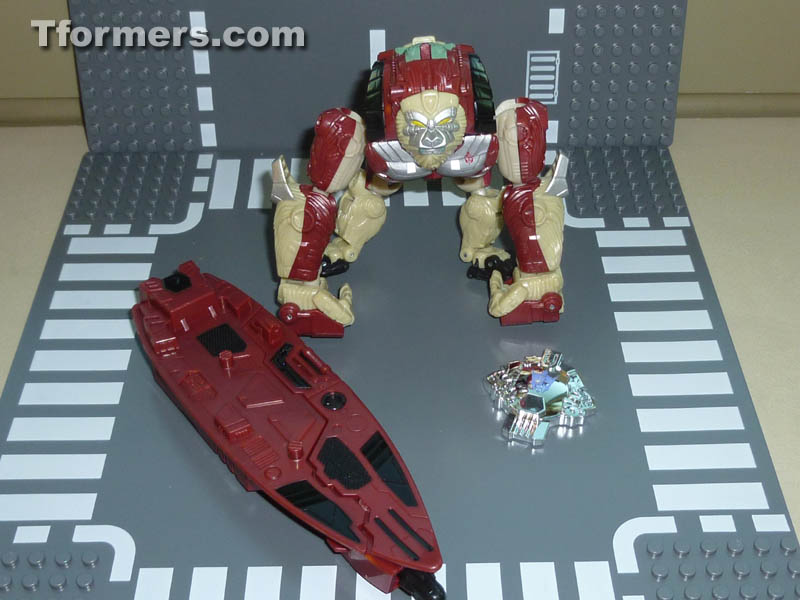 BotCon 2014 - Photos of Knights 3-Pack with Alpha Trizer, Flareup 