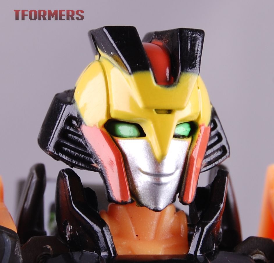 Botcon 2016 - Souvenir Exclusive Airazor Photo Gallery Botcon 2016 - Souvenir Exclusive Airazor Photo Gallery