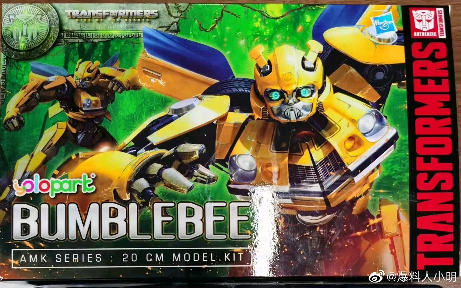 Yolopark AMK Optimus Prime & Bumblebee Model Kit Box Images from 