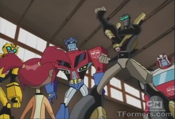 Transformers animated survival of the fittest hotsell
